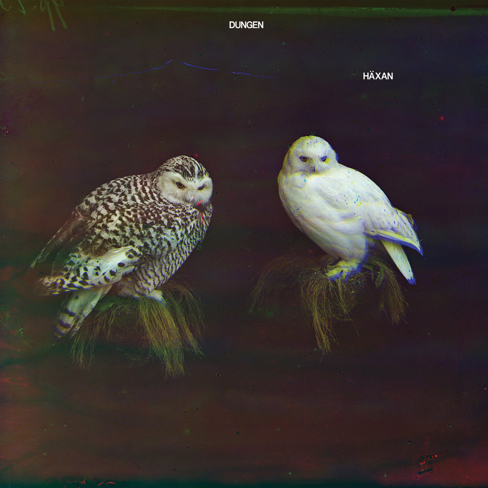 Dungen - Häxan CD