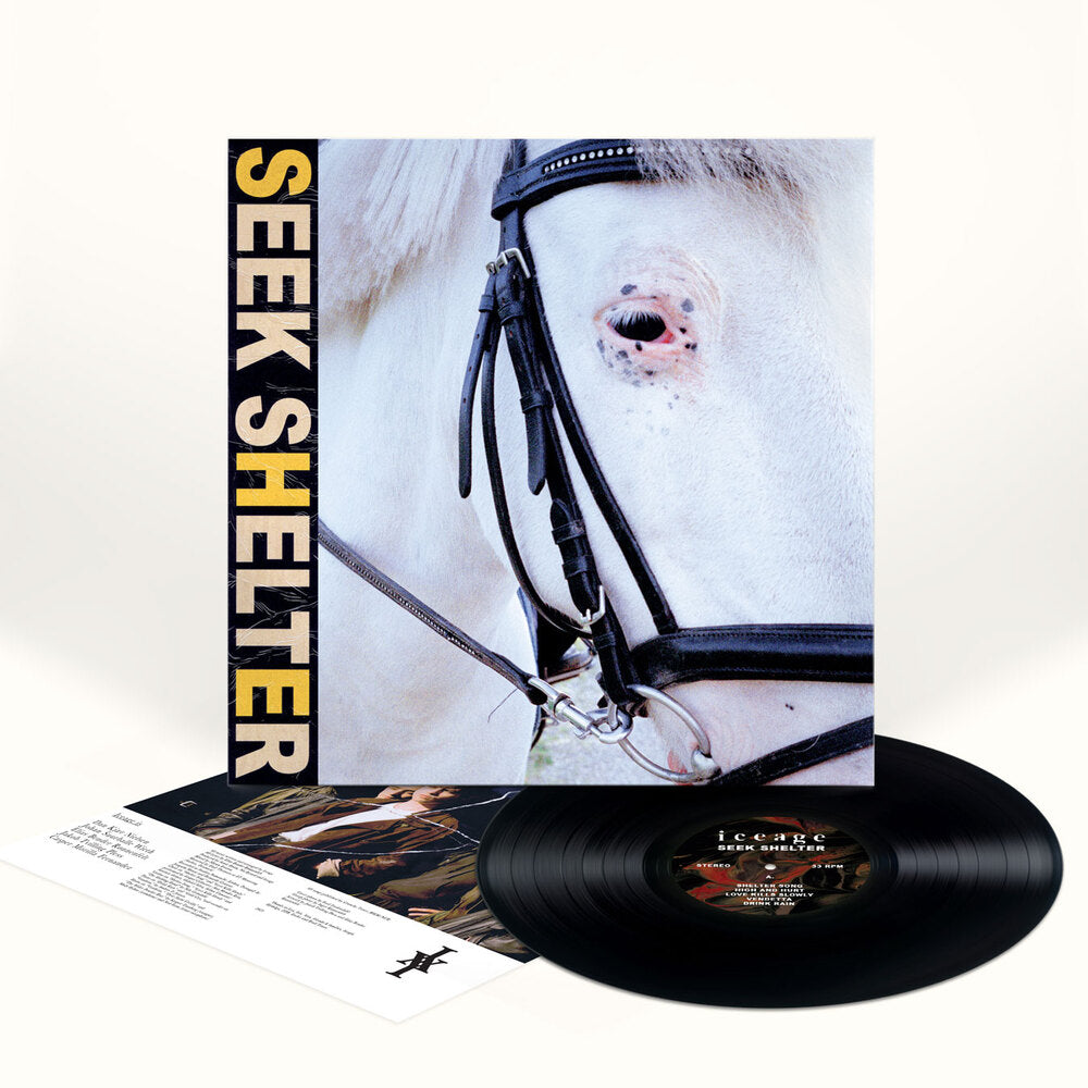 Iceage - Seek Shelter Standard Black Vinyl