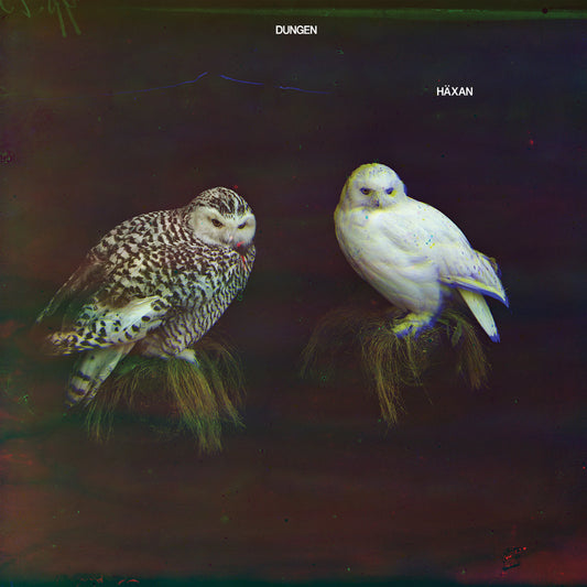 Dungen - Häxan CD