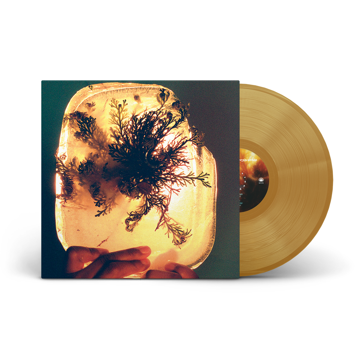 L'Rain - fata morgana - Rose of Jericho Glow LP [PRE-ORDER - SHIPS AUGUST 14, 2026]
