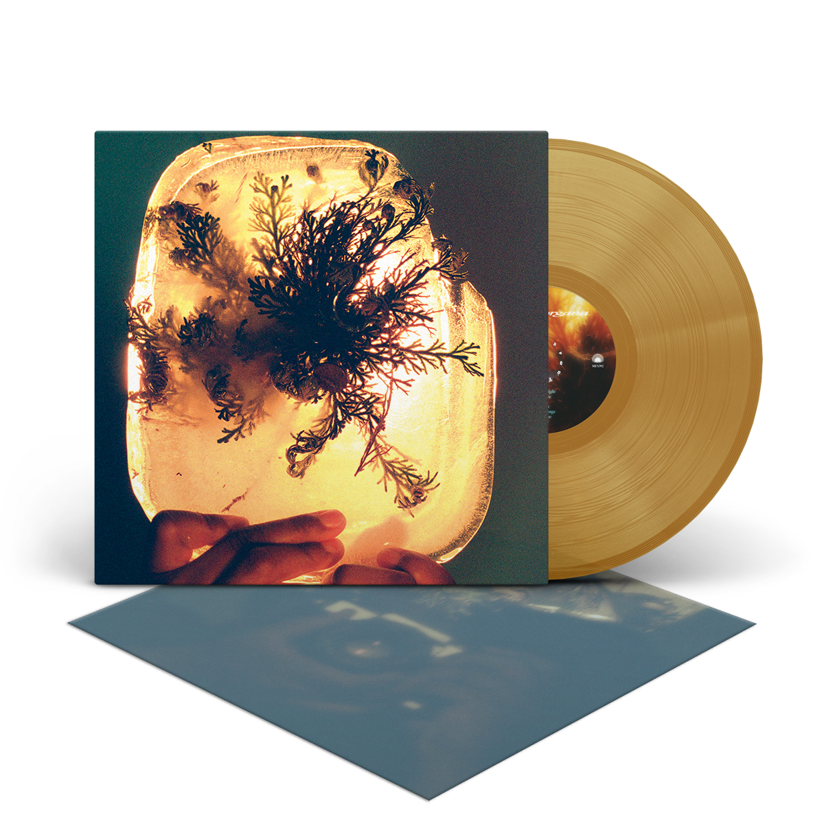 L'Rain - fata morgana - Rose of Jericho Glow LP [PRE-ORDER - SHIPS AUGUST 14, 2026]