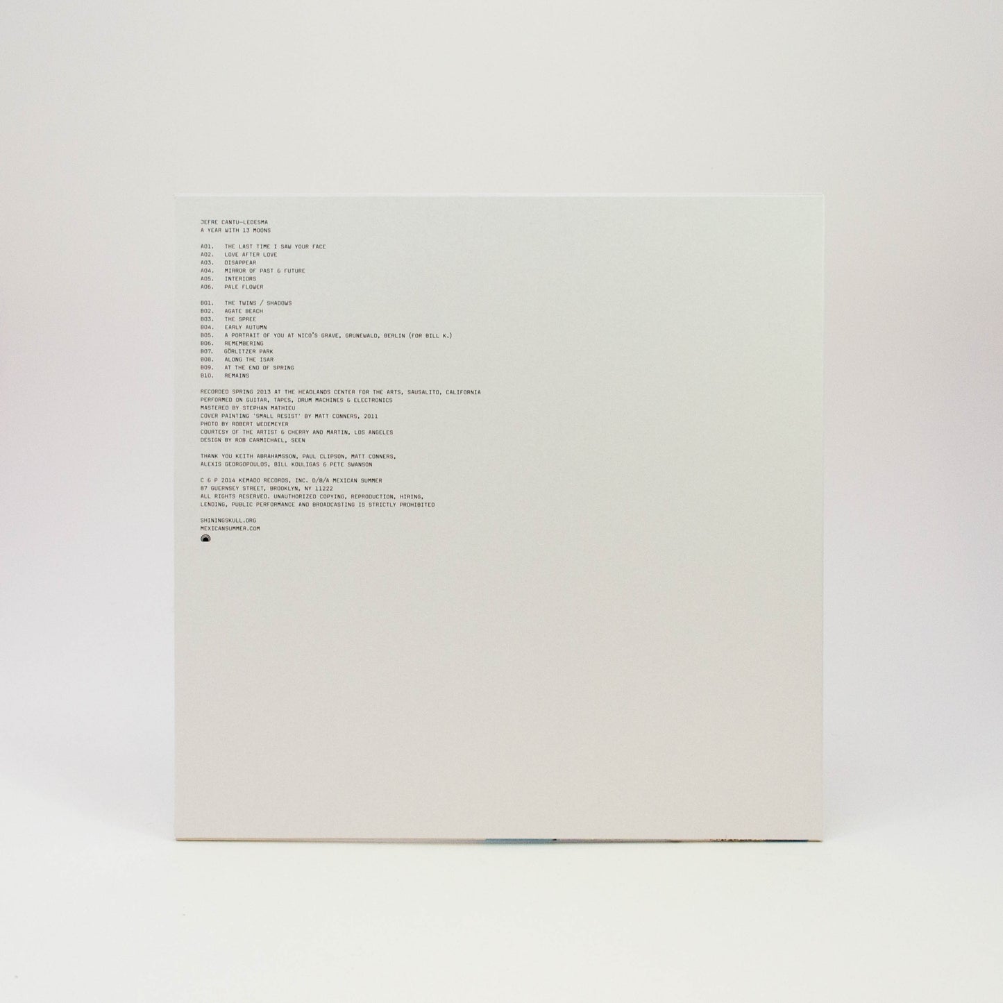 Jefre Cantu-Ledesma - A Year With 13 Moons - Black Vinyl