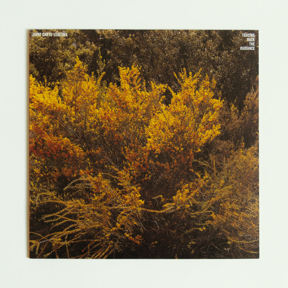 Jefre Cantu-Ledesma - Tracing Back The Radiance - Black Vinyl