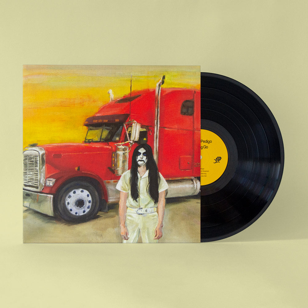 Hayden Pedigo - Letting Go Standard Black Vinyl